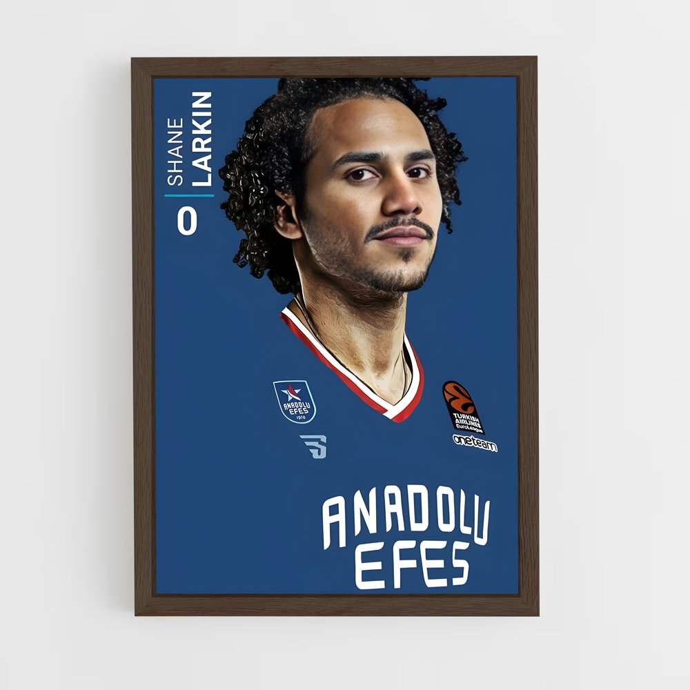 Poster Hairy Dunk – affiche Basketball (vue 5)